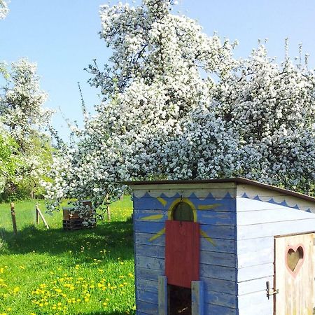 Schoenbuchjuwel Walddorf  Εξωτερικό φωτογραφία